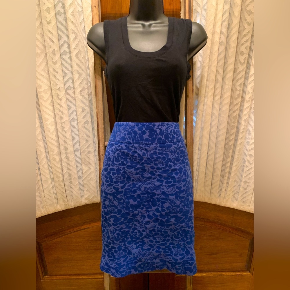 Blue Ann Taylor LOFT Skirt